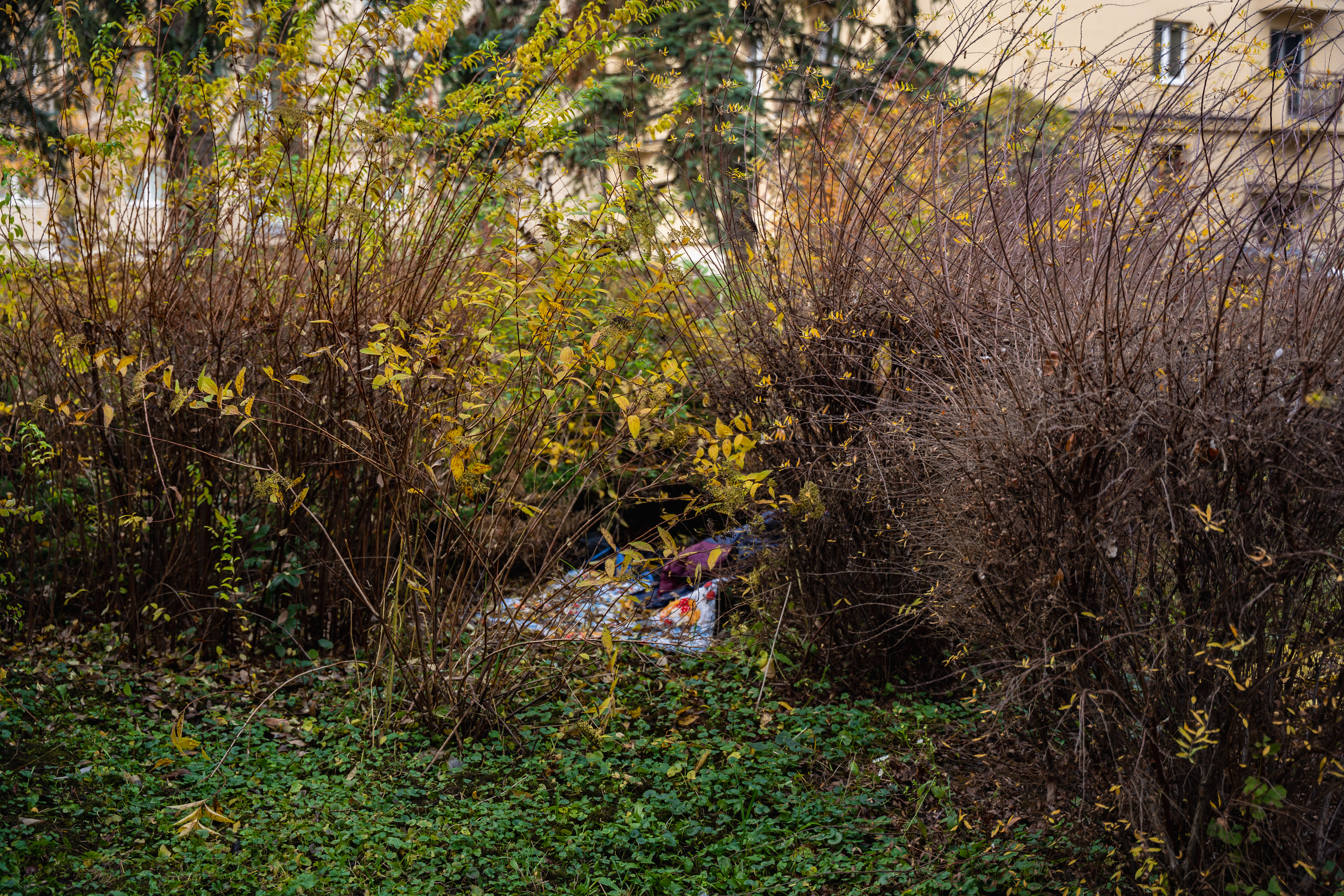 Odovzdanie staveniska - Pasteurovo nam.-21